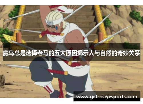 魔鸟总是选择老马的五大原因揭示人与自然的奇妙关系