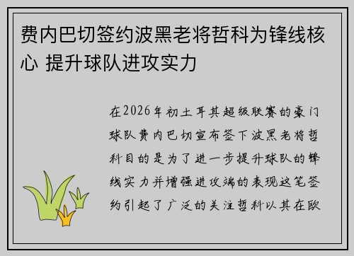 费内巴切签约波黑老将哲科为锋线核心 提升球队进攻实力 费内巴切签约波黑老将哲科为锋线核心 提升球队进攻实力